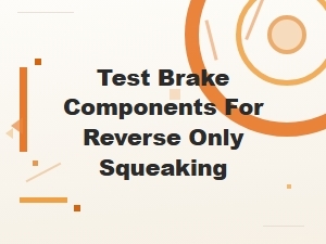 Test Brake Components for Reverse Only Squeaking
