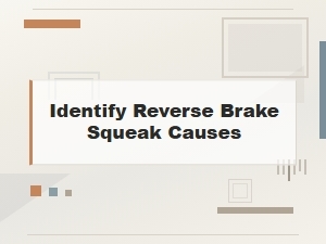 Identify Reverse Brake Squeak Causes