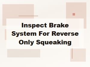 Inspect Brake System for Reverse Only Squeaking